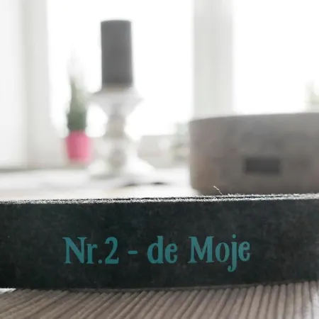 Steltenpohl - Whg 2 - De Moje *